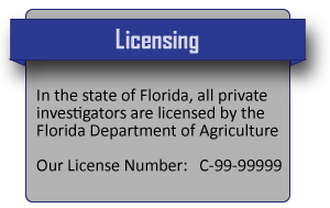 Fla P.I. License info